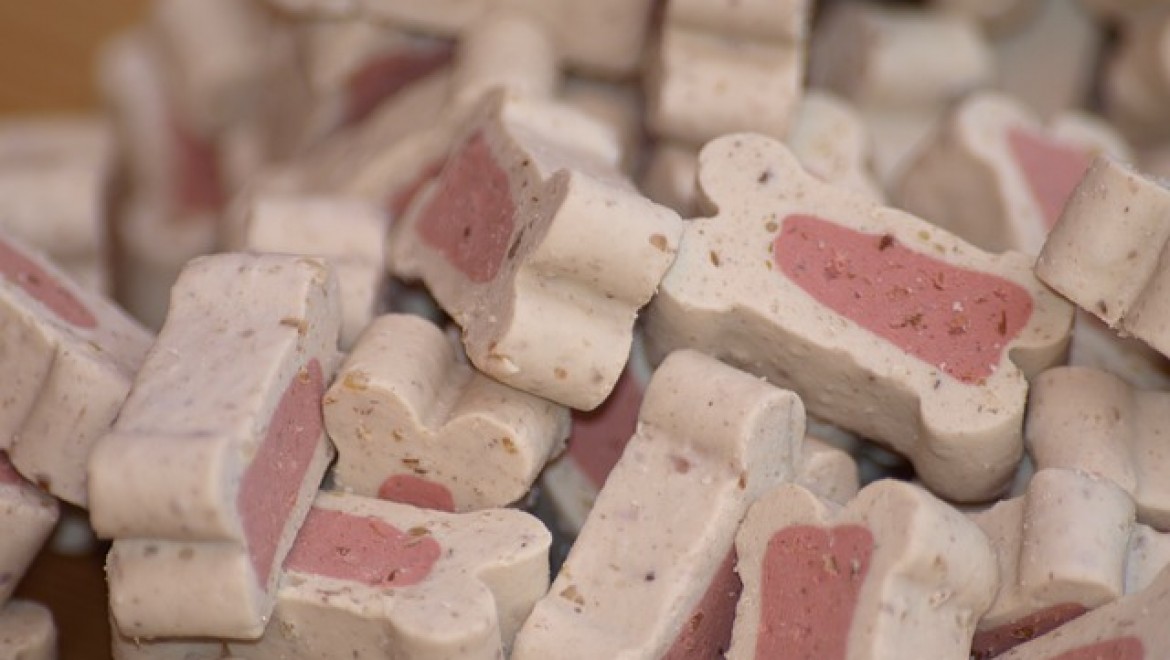 מזון לכלבים