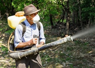 לרסס לבד או להזמין מדביר, זו השאלה!